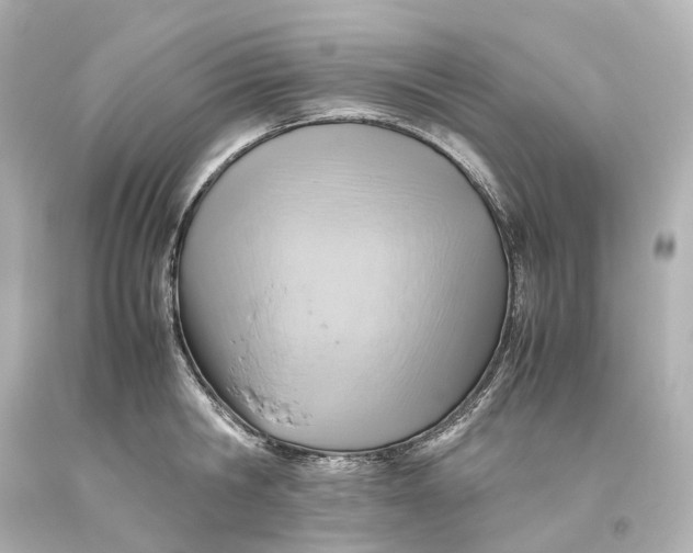 X0000093610806200711051218