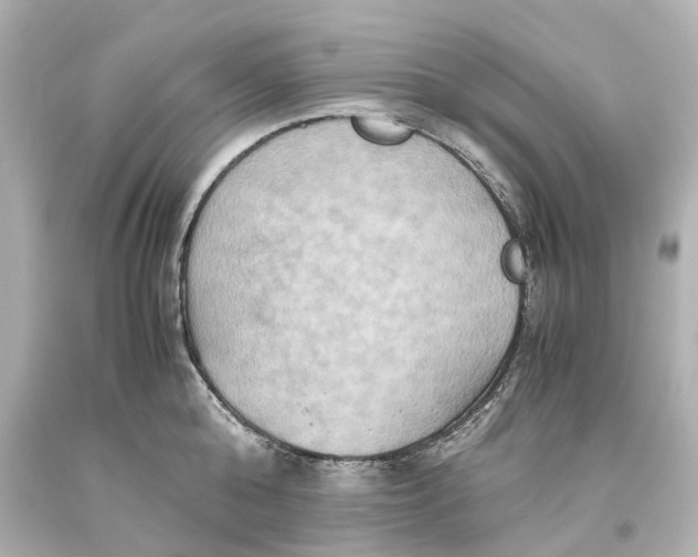 X0000093610808200711051218