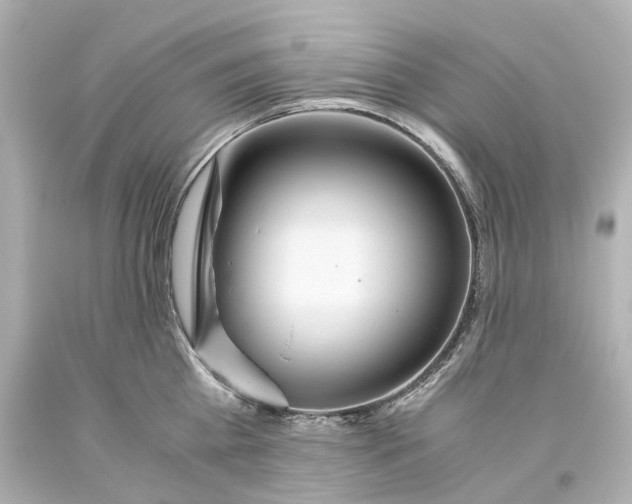 X0000093610809200711051218
