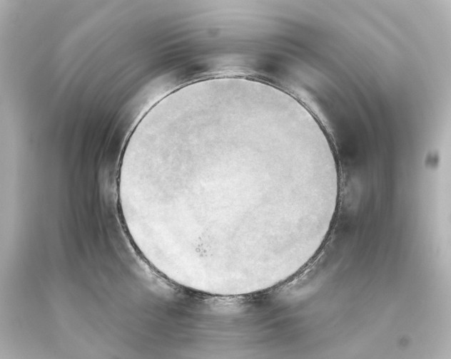X0000093610810200711051218