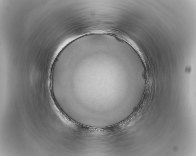 X0000093610811200711051218