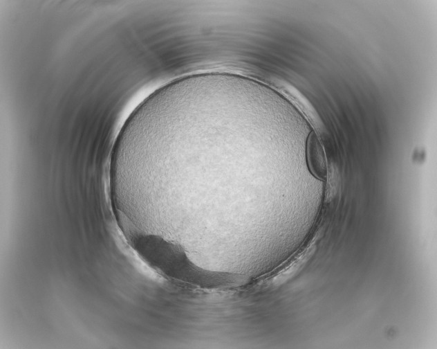X0000093610812200711051218