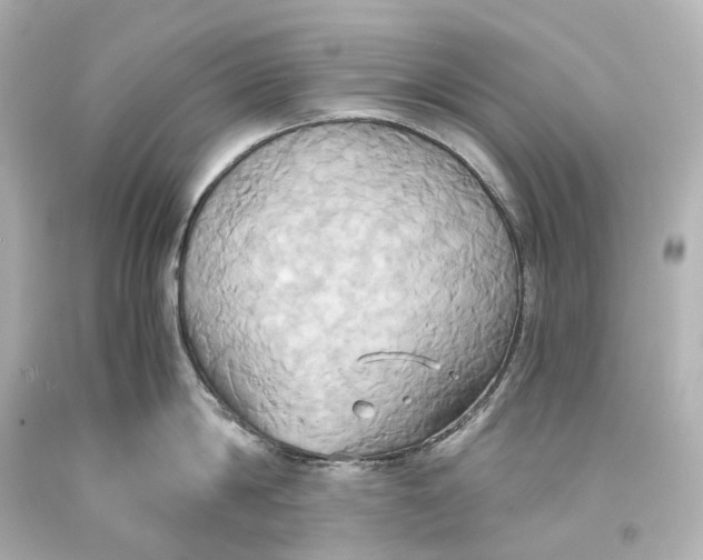 X0000093610814200711051218