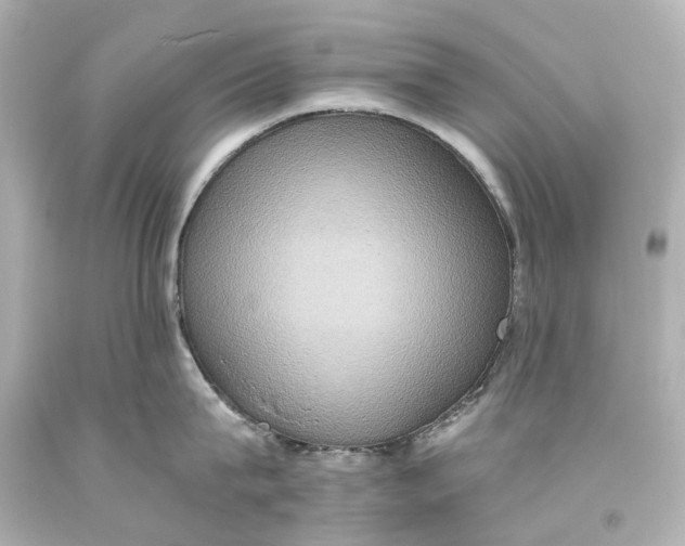 X0000093610815200711051218