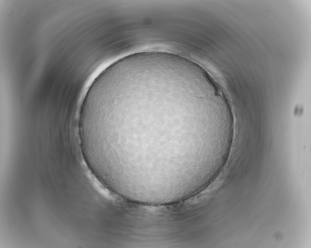 X0000093610816200711051218