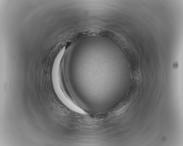 X0000093610818200711051217