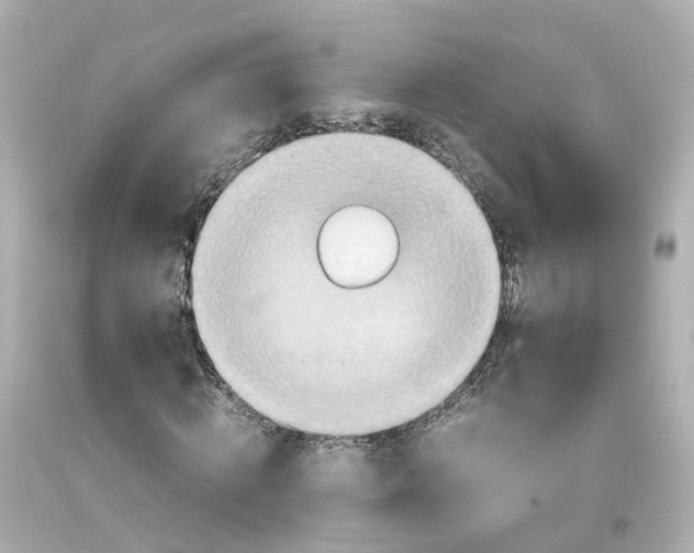 X0000093610820200711051217
