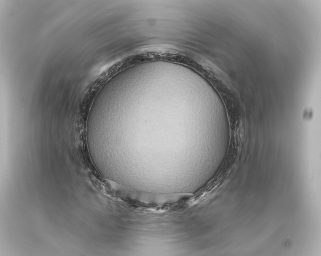 X0000093610822200711051217