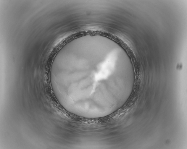 X0000093610823200711051217