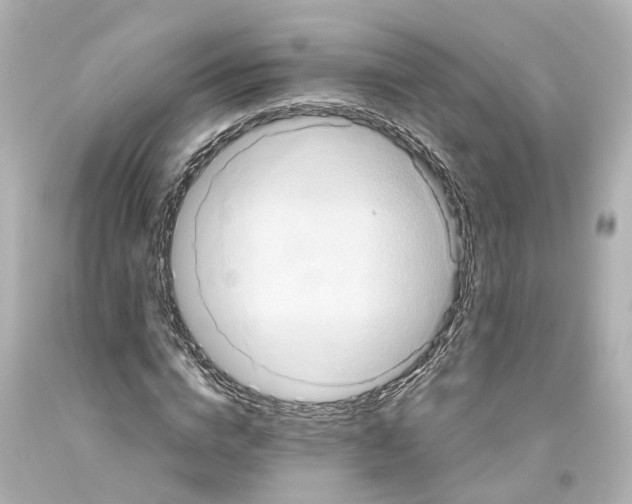 X0000093610824200711051217