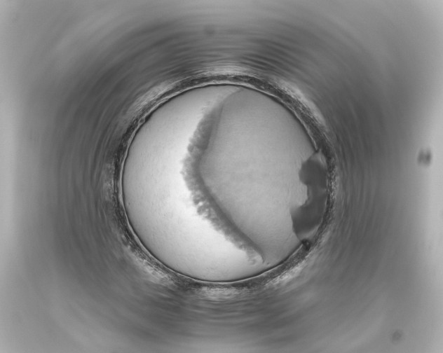 X0000093610825200711051217