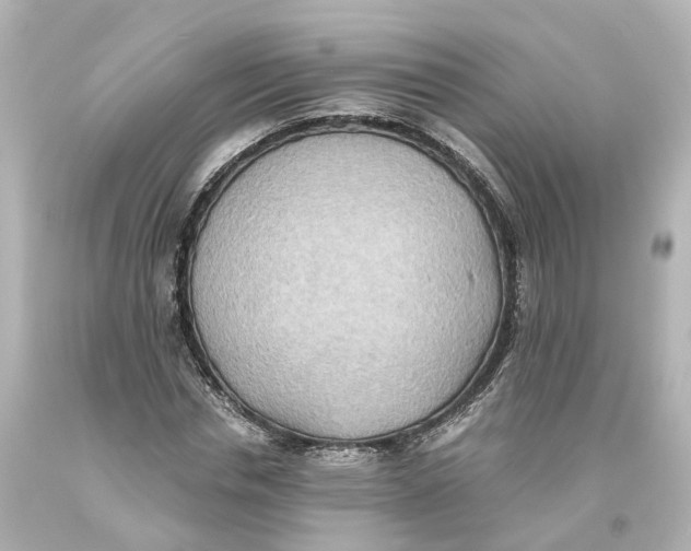 X0000093610826200711051217