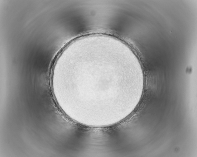 X0000093610828200711051217