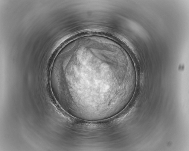 X0000093610829200711051217