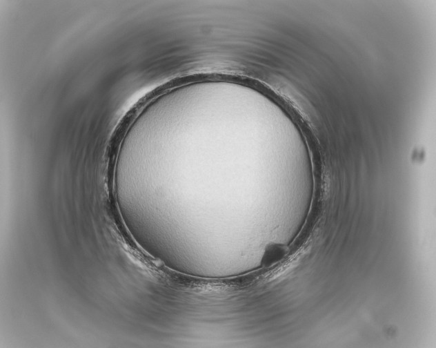 X0000093610830200711051217