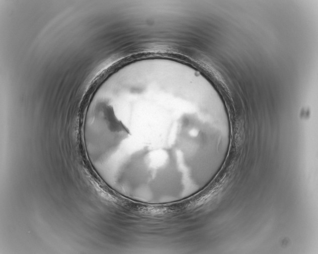 X0000093610831200711051217