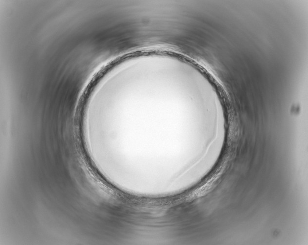 X0000093610832200711051217