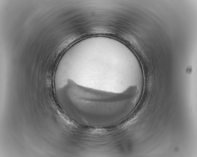 X0000093610833200711051217