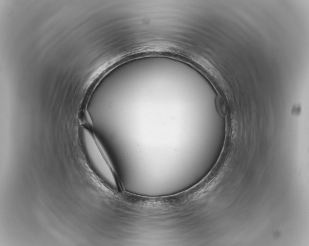 X0000093610834200711051217