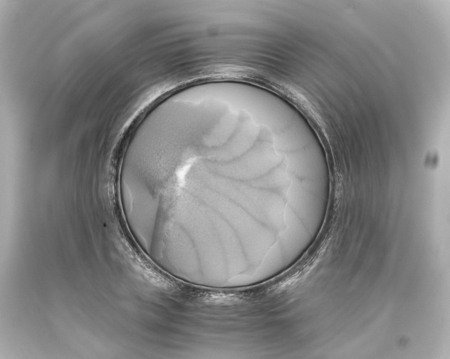 X0000093610835200711051217