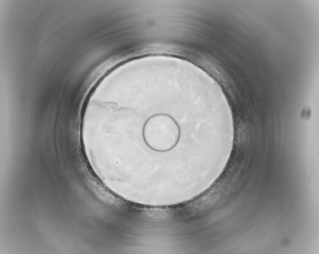 X0000093610836200711051217