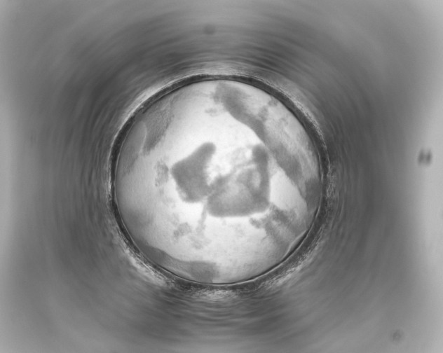X0000093610837200711051217