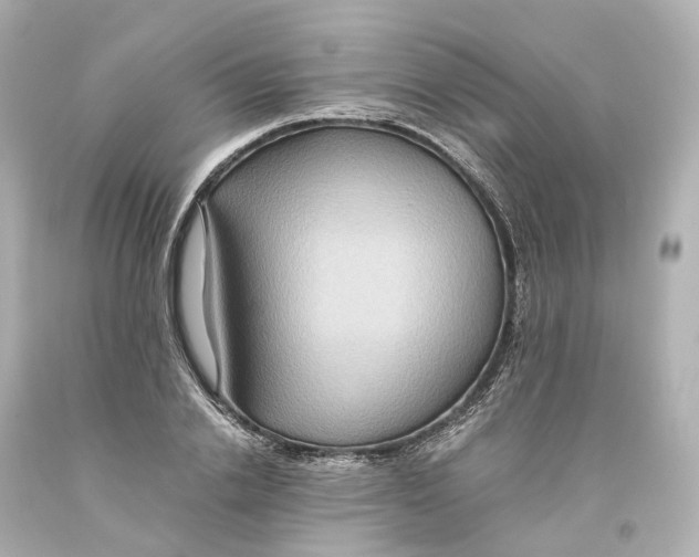X0000093610838200711051217