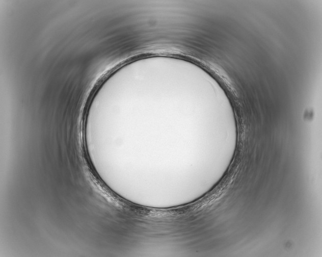 X0000093610840200711051217