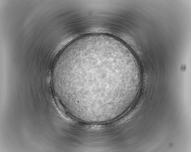 X0000093610841200711051217