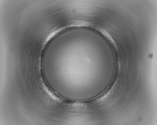 X0000093610842200711051217