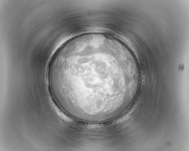 X0000093610843200711051217