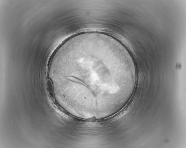 X0000093610844200711051217