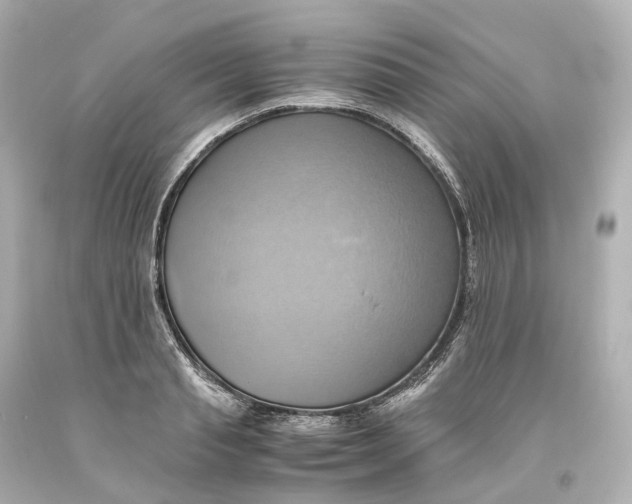 X0000093610845200711051217