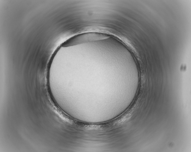 X0000093610846200711051217