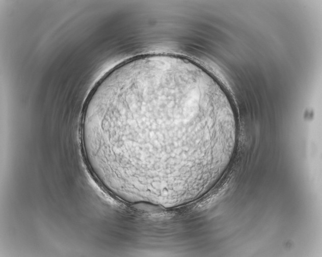 X0000093610847200711051217