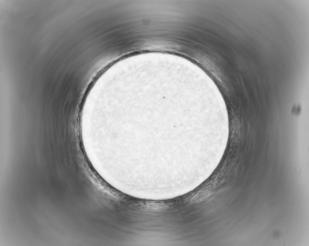 X0000093610848200711051217