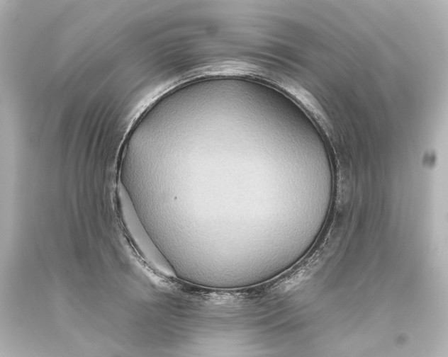 X0000093610850200711051217