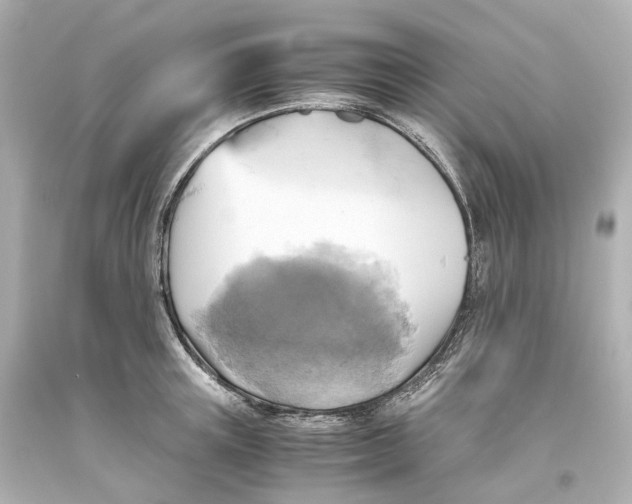 X0000093610851200711051217