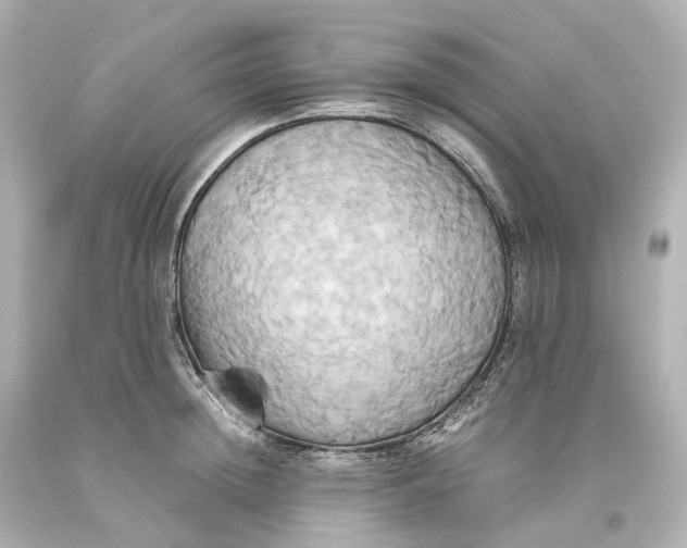X0000093610852200711051217