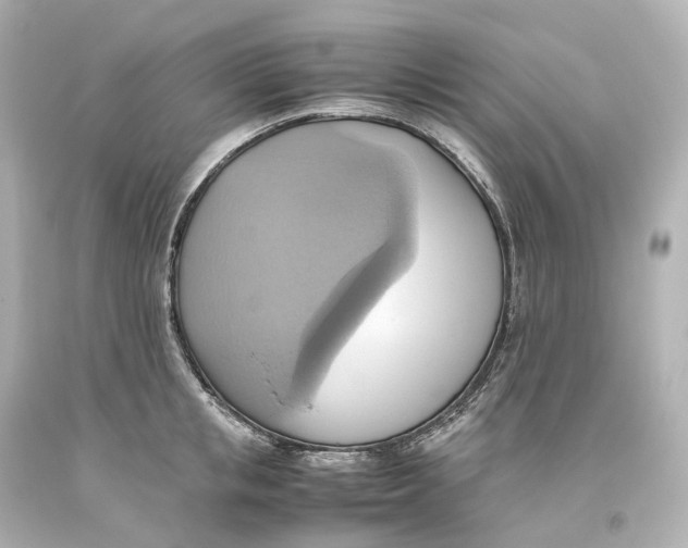 X0000093610853200711051217