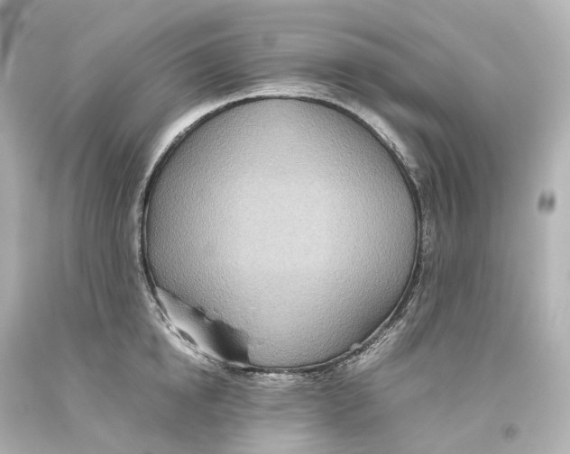 X0000093610854200711051217