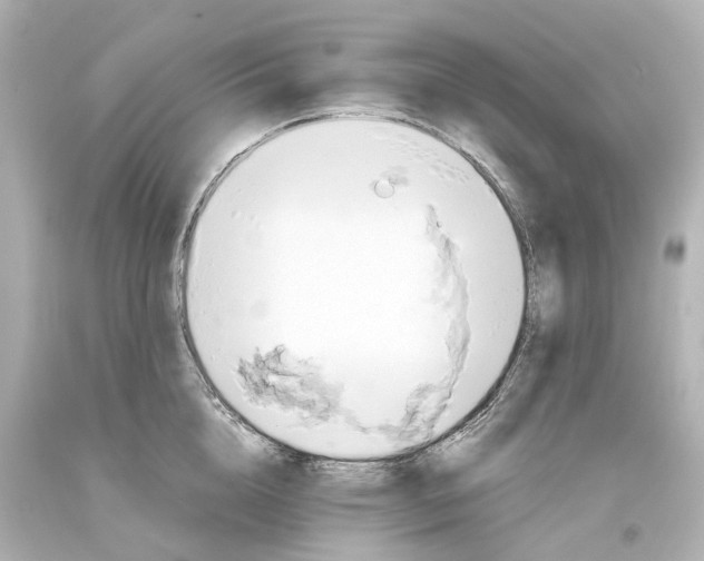 X0000093610856200711051217