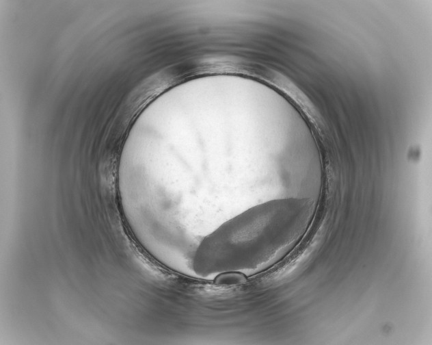 X0000093610857200711051217