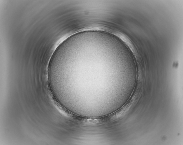 X0000093610858200711051217