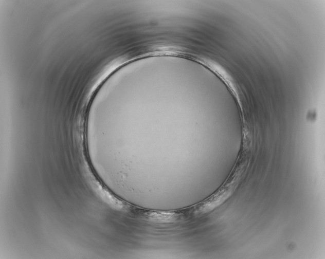 X0000093610859200711051217