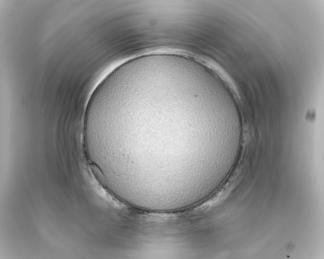 X0000093610860200711051217