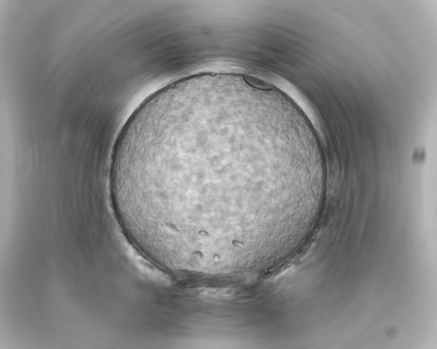 X0000093610861200711051217