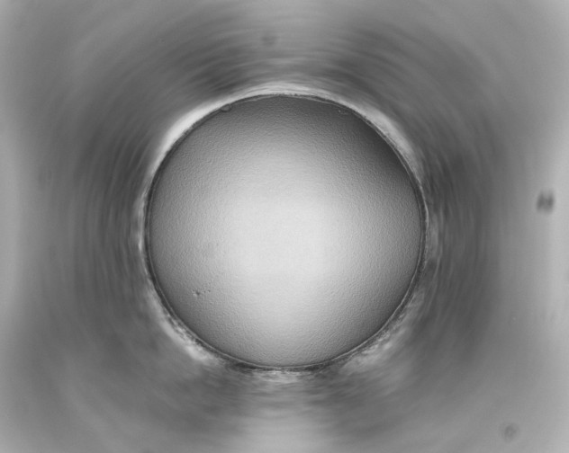X0000093610862200711051217