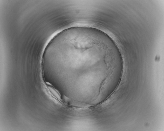 X0000093610864200711051218