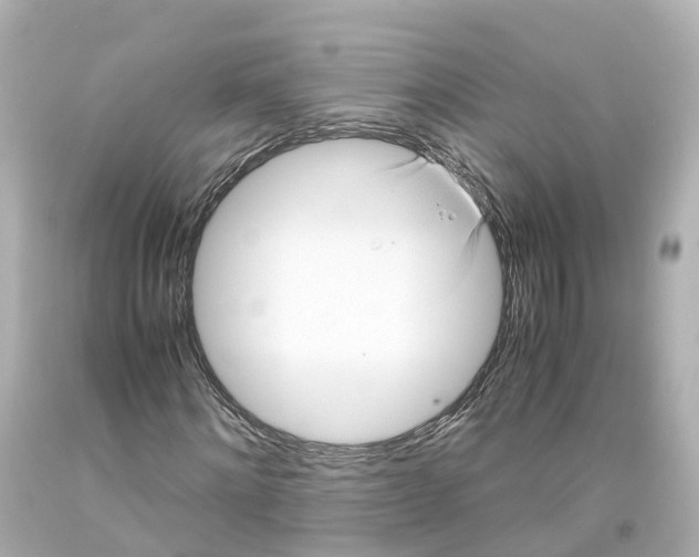 X0000093610868200711051217